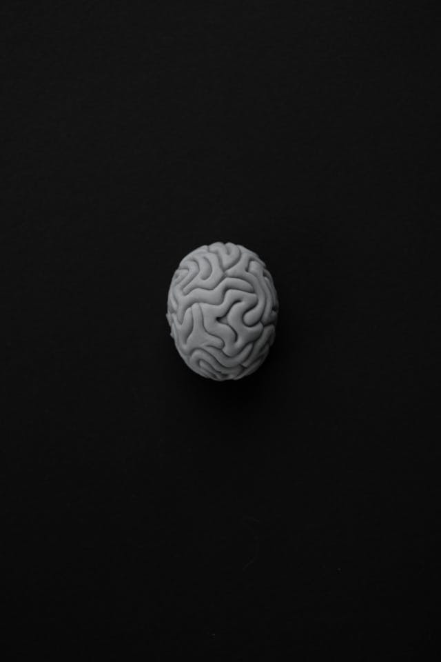 pexels-ekaterina-bolovtsova-6192331 picture of a modelled clay brain floating